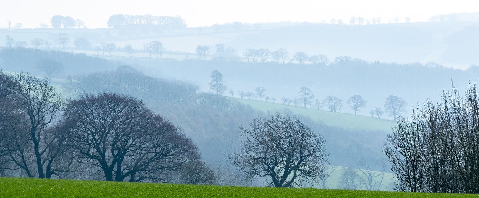 Landscape Protection & Wild Belt