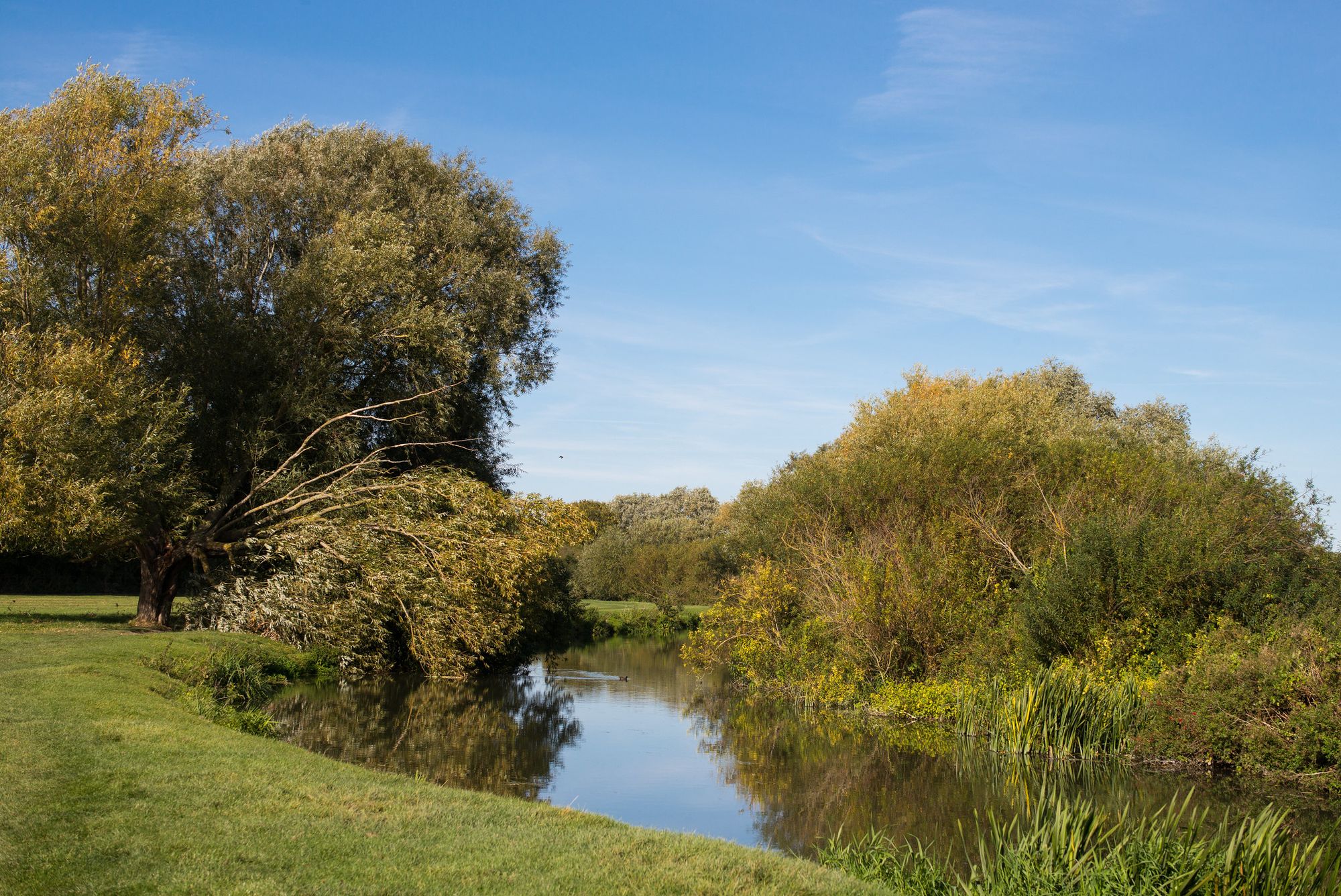 Wild swimming is losing its wildness