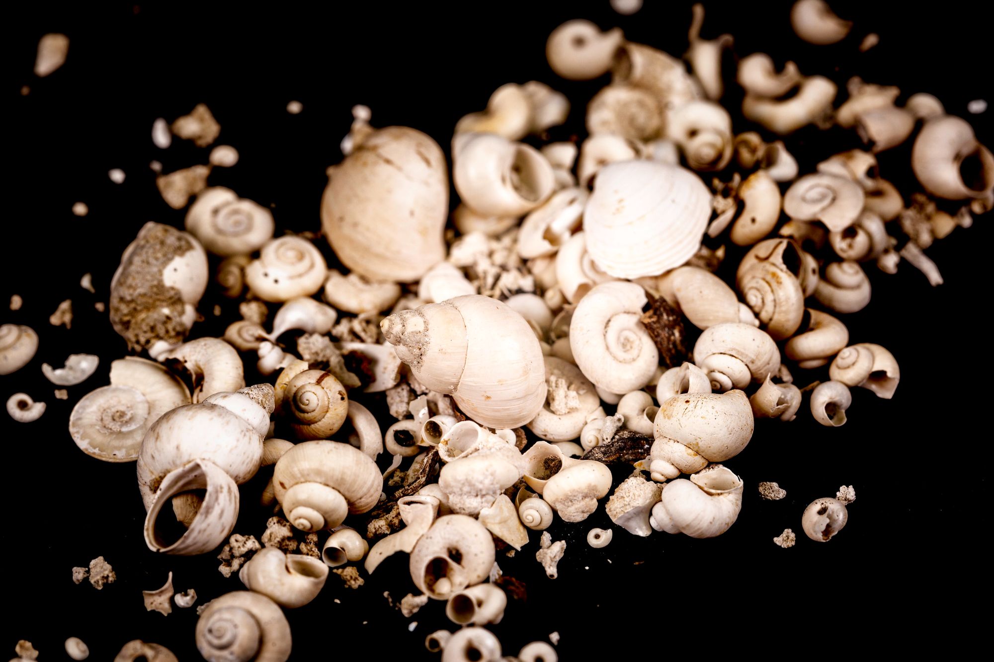 Attacks on archaeology will harm efforts to restore the natural world