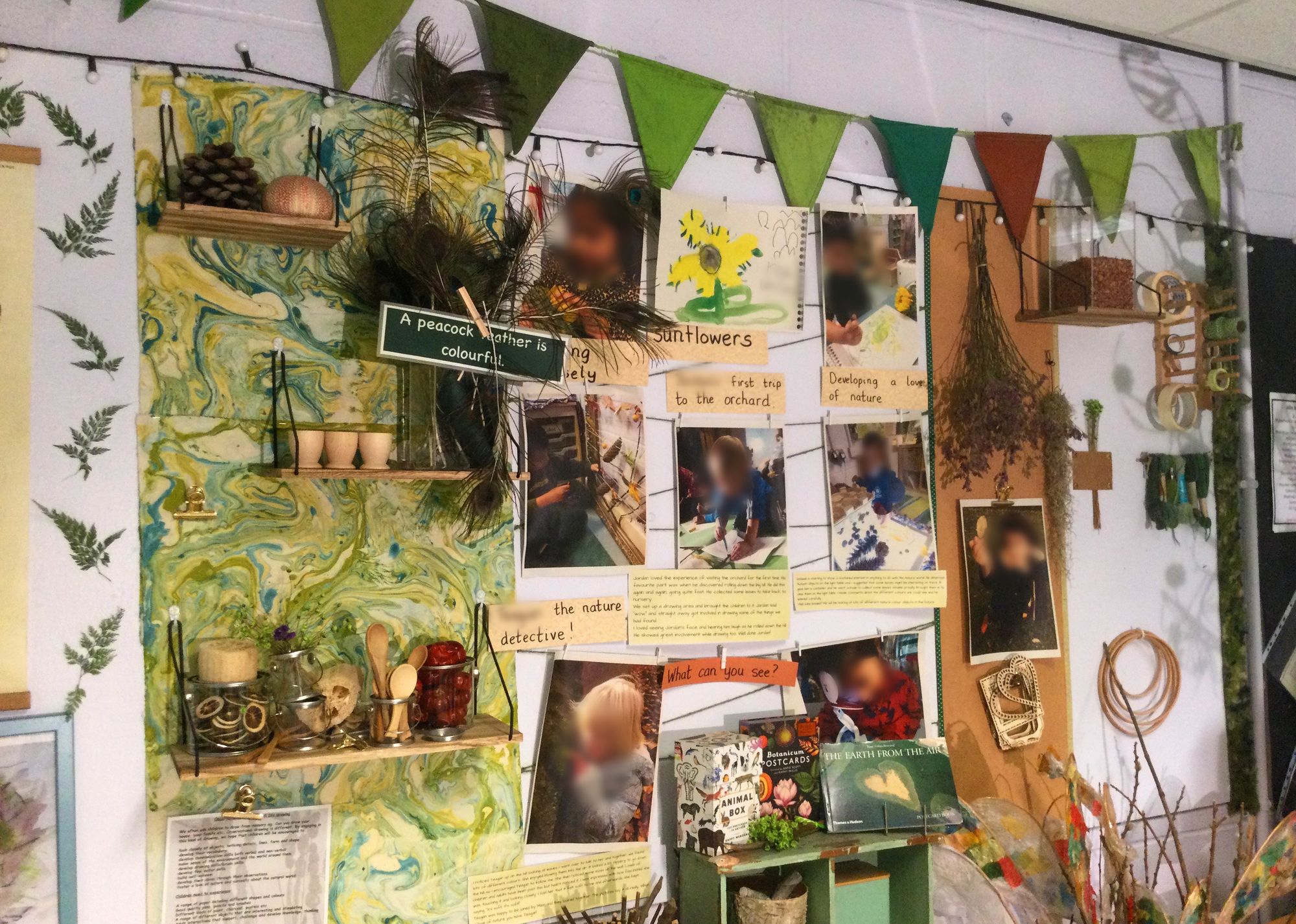 How reviving nature tables could restore wonder to the classroom