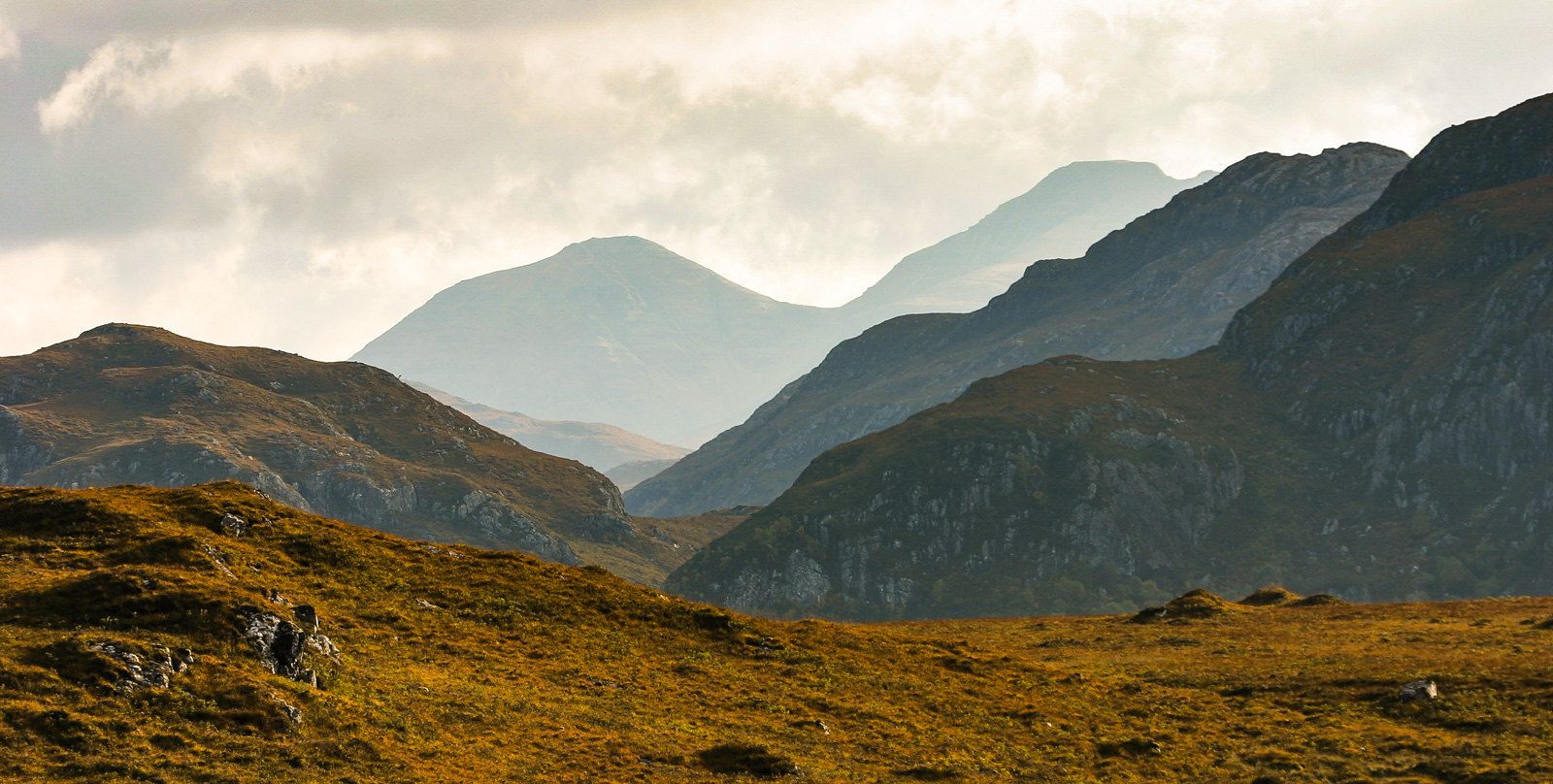 “At its root, rewilding is an ecocentric approach.”