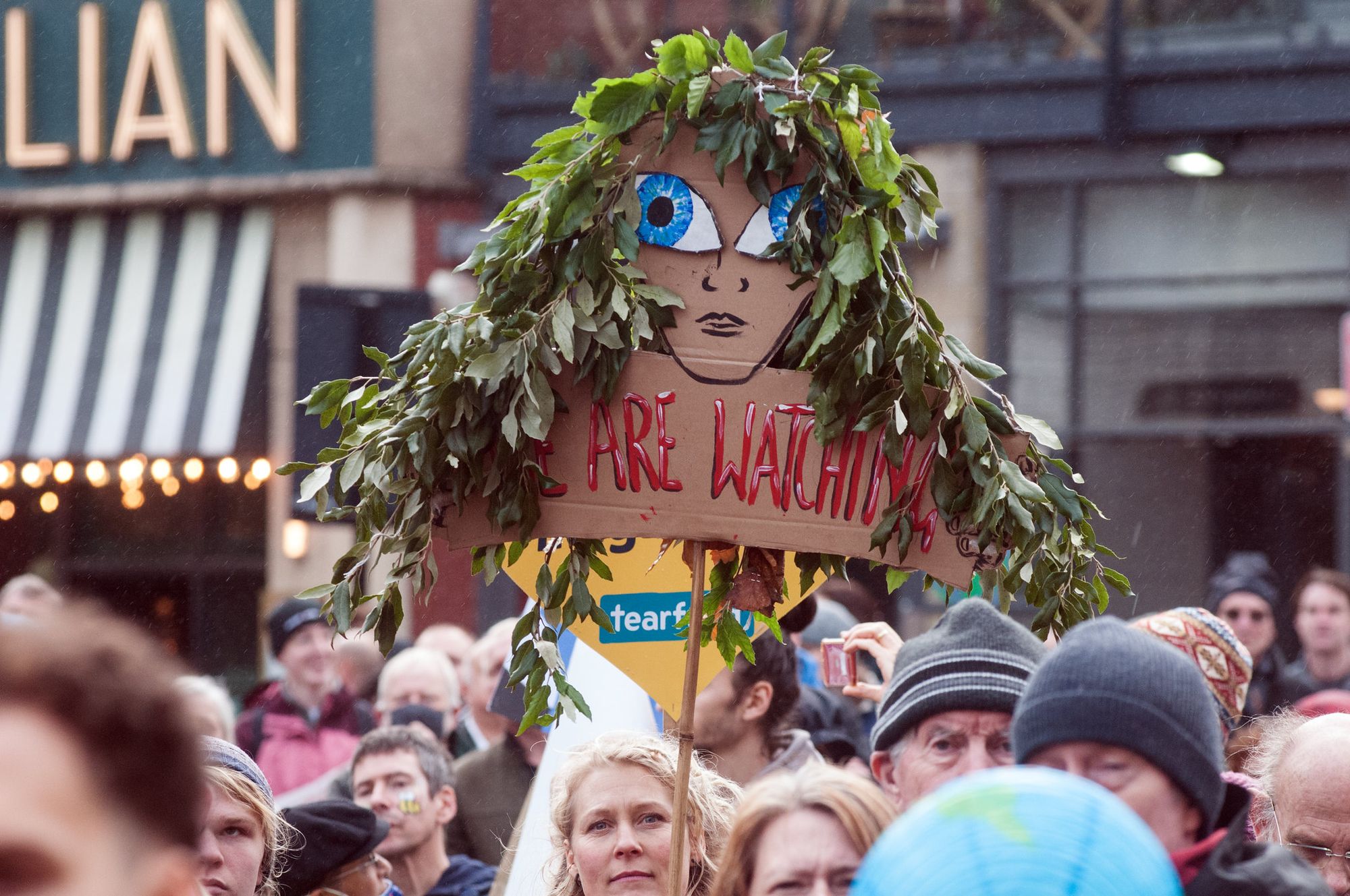 Nature at COP & Poisoned Yew