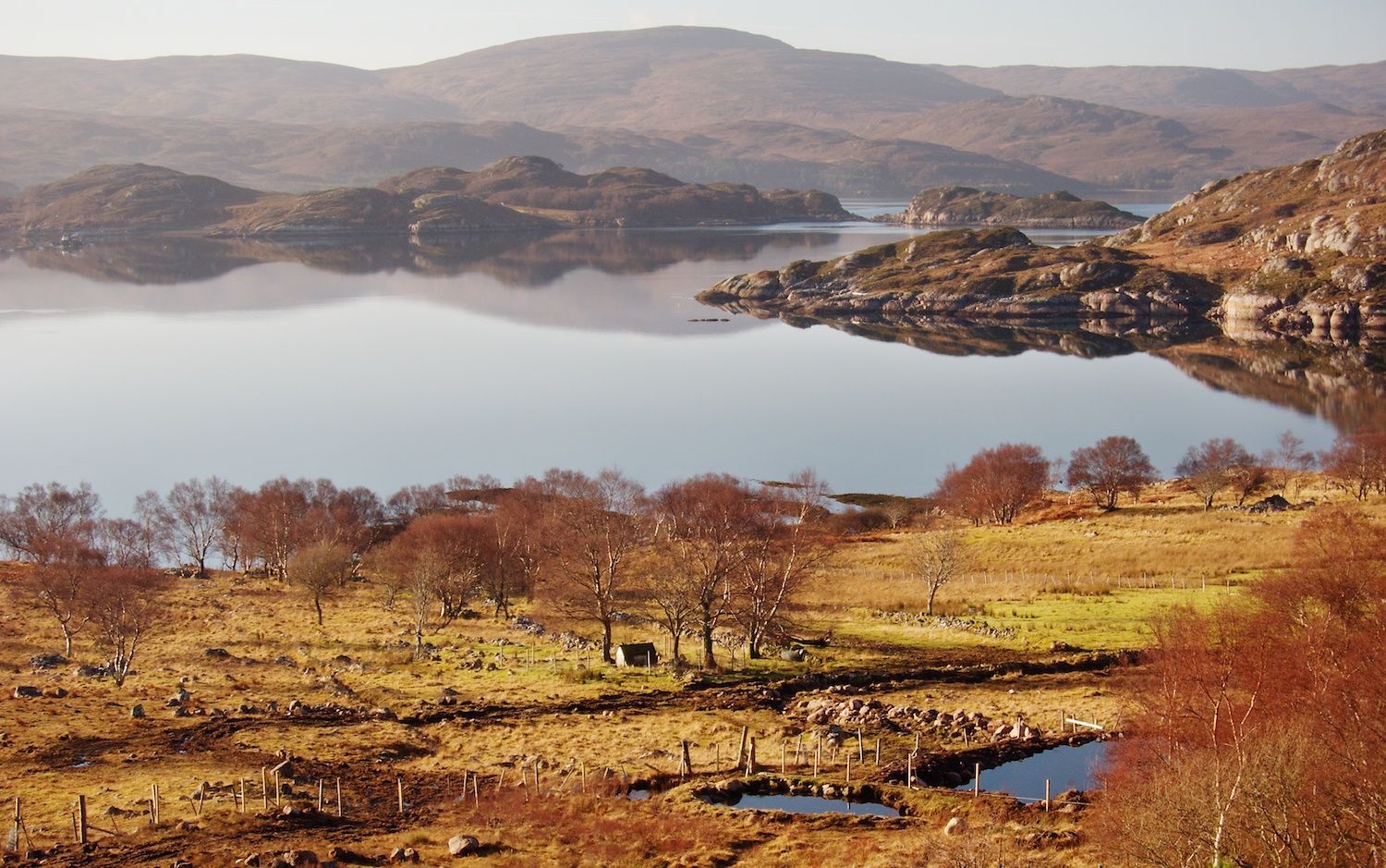 Scottish Farming & Woodland Dens