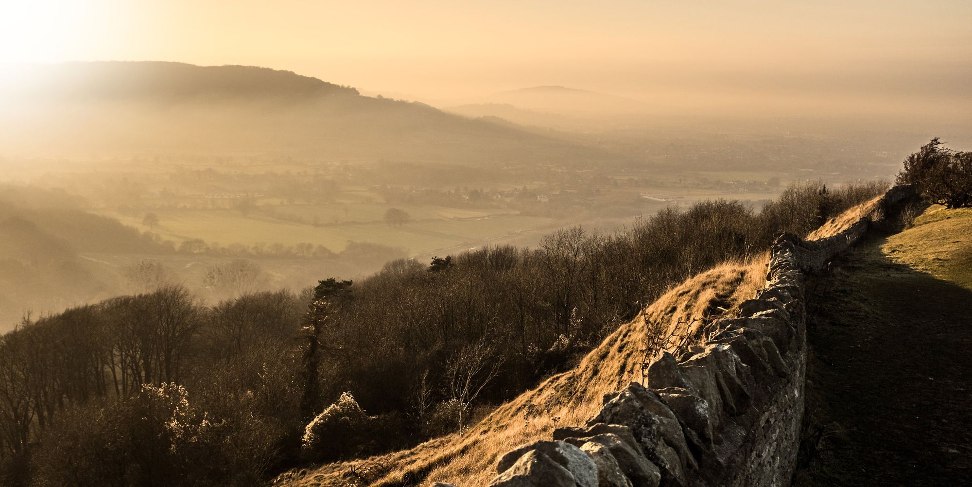 Leadership Contest & Anthropocene Conservation