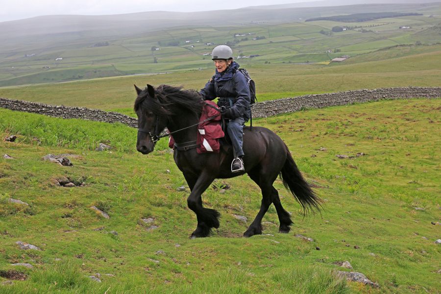 Meet Margaret Bradshaw, the 96-year-old hero of Teesdale's rare flora