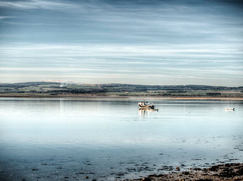 Protected Marine Areas & London Falcons