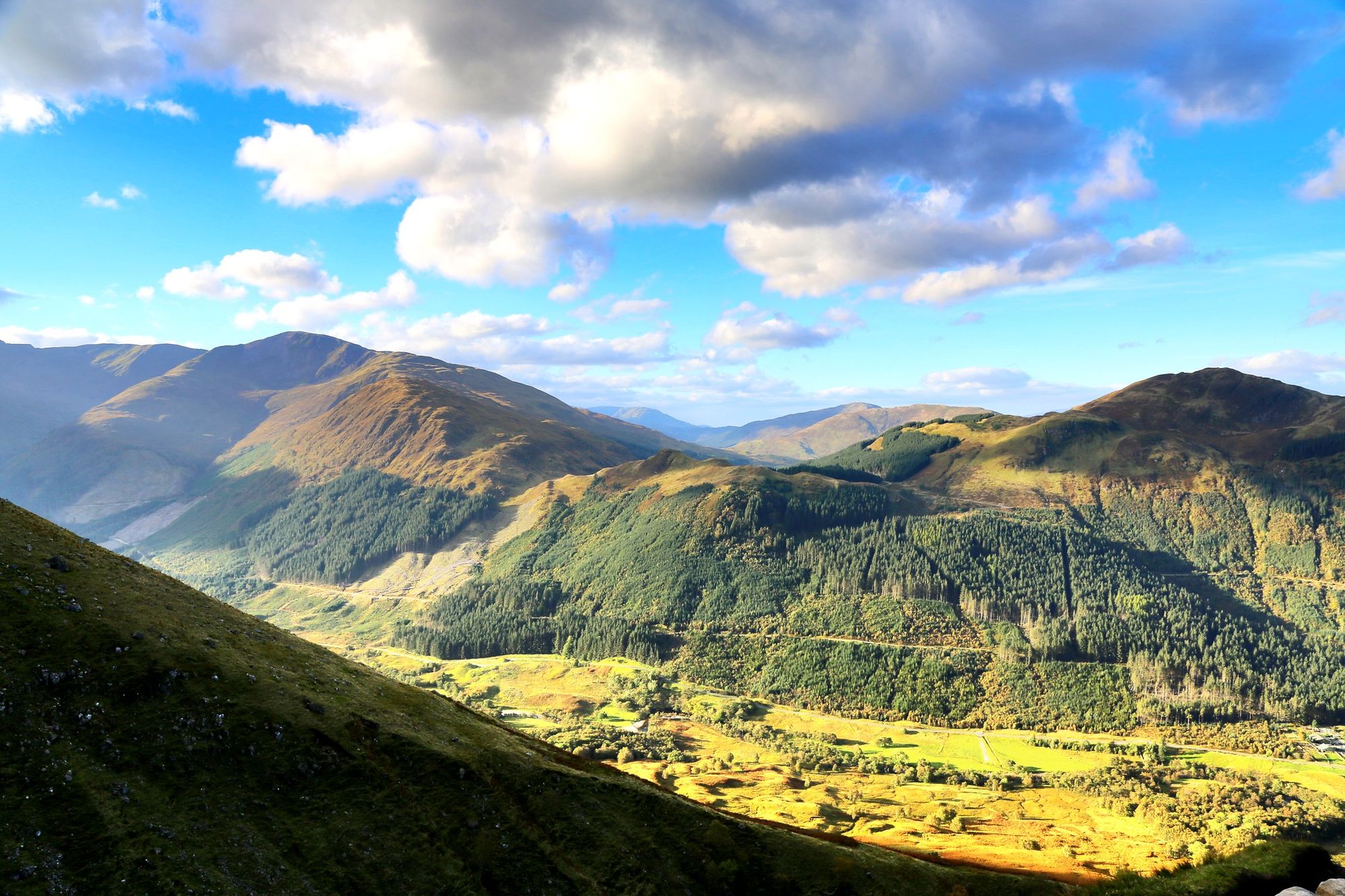 Water Pollution & Montane Scrub