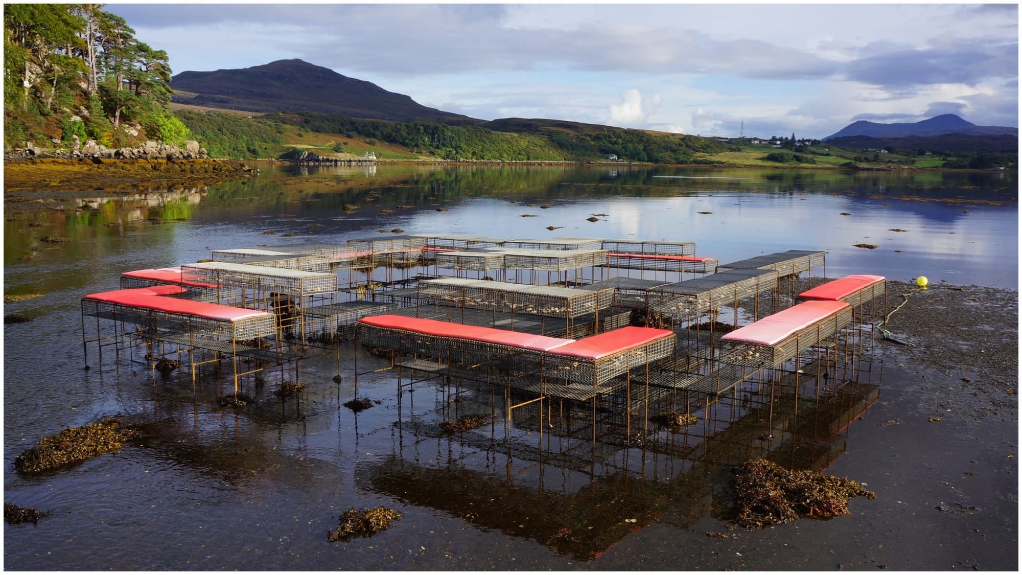 How to eat like a Climavore