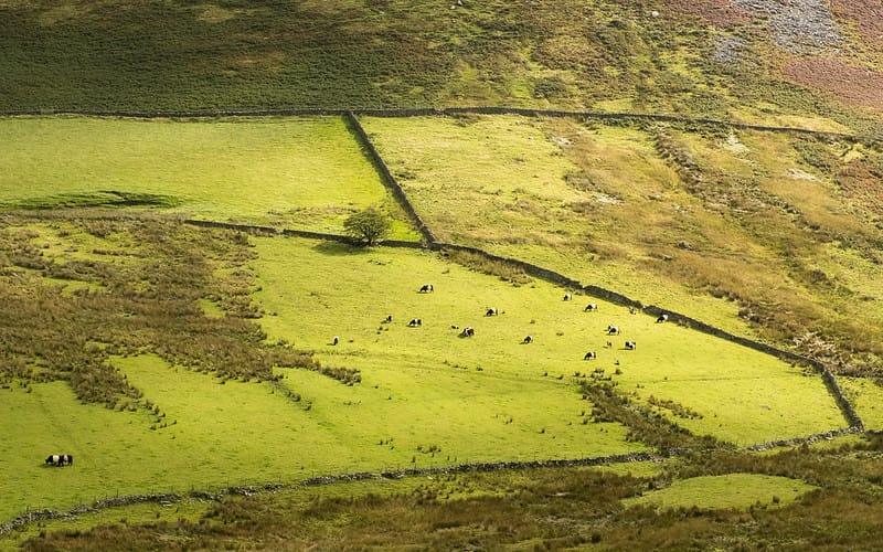 Farming Schemes and Russian Seeds