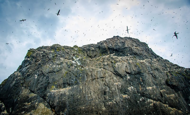 Failing on Nature & St Kilda Climate
