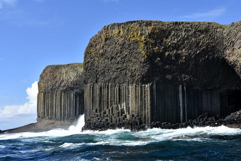 Scottish Seabirds & River Oath