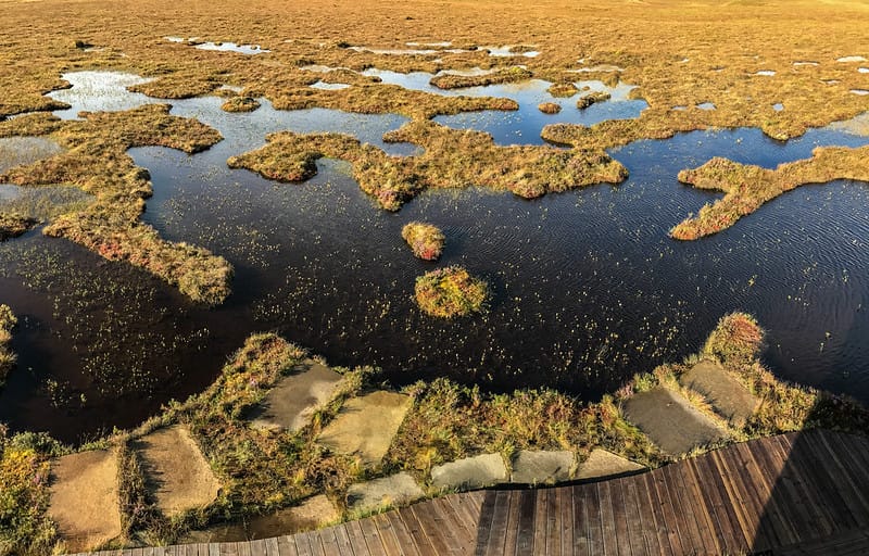 Rapid Review & New World Heritage Site