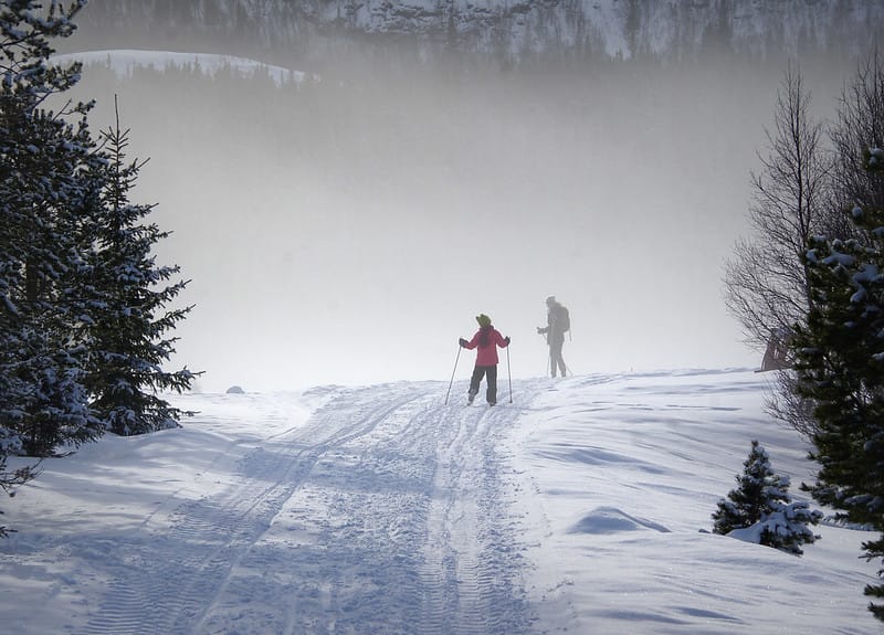 Nature Restoration Fund & Skiing Ecology