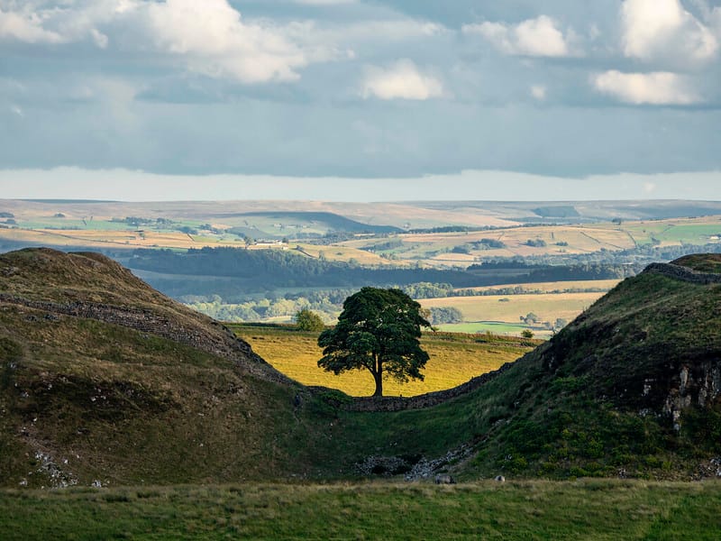 Planning Bill & Sycamore Gap Trial