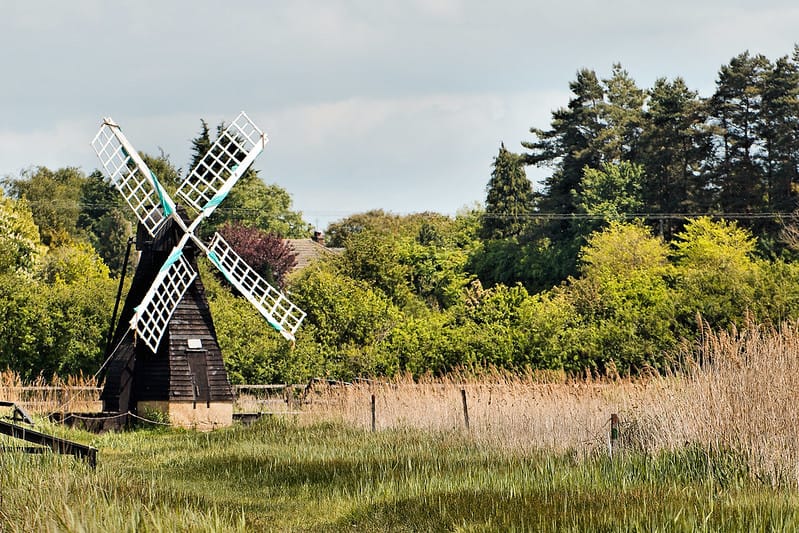Spending Review & Ancient Oak