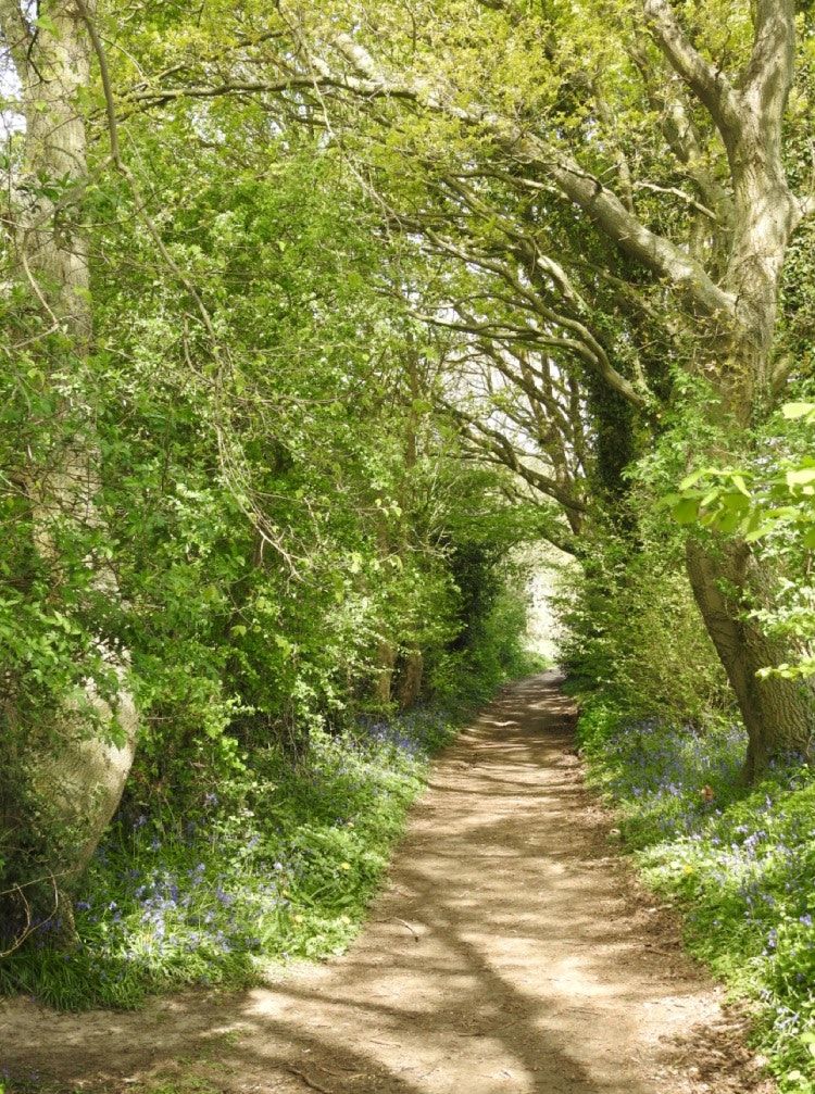 How technology shapes a closer relationship with nature