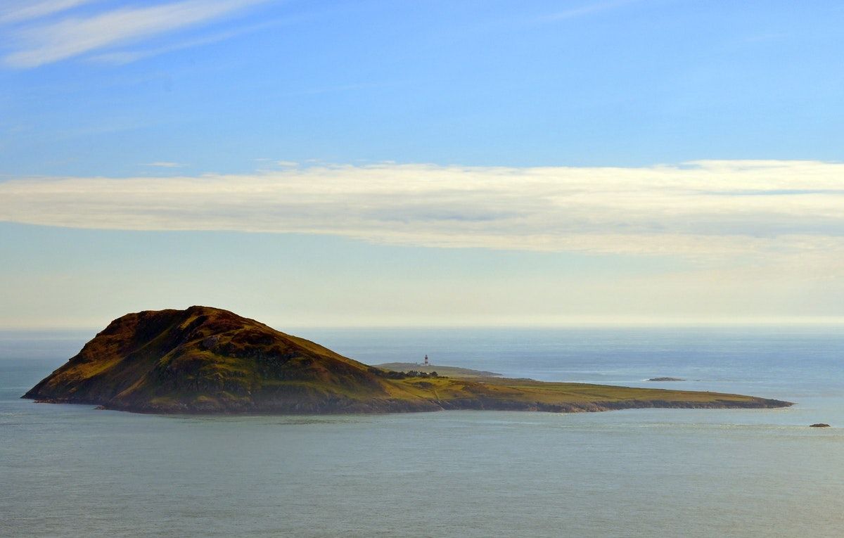 Bird observatories are struggling to survive in lockdown