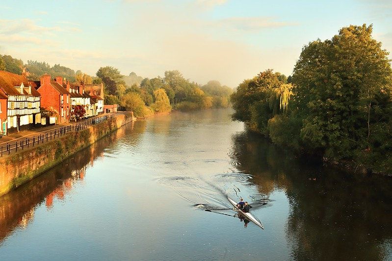 River Bill & Glitter Litter