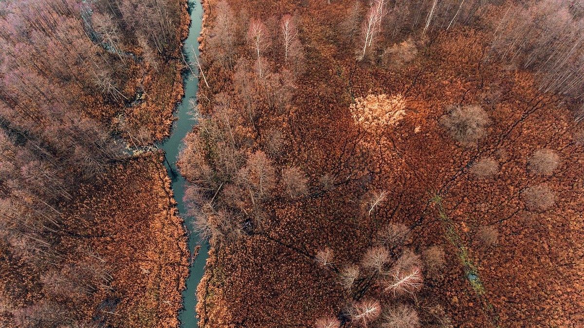 Benedict Macdonald: the entire interview