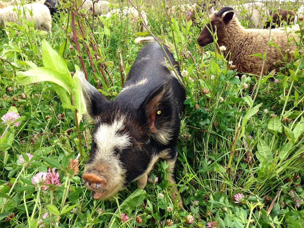 Rebecca Hosking: the entire transcript