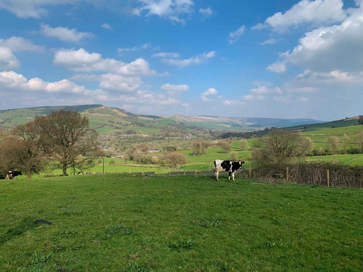 Rewilding the Peak District