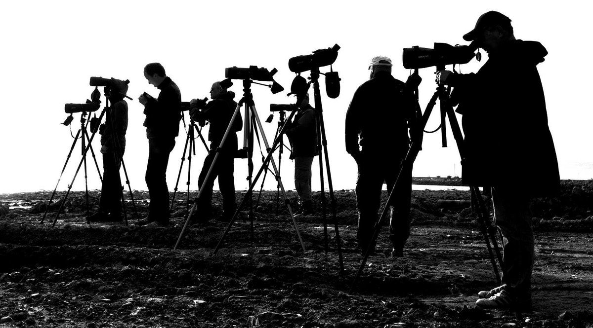 Black In Nature: a list of resources