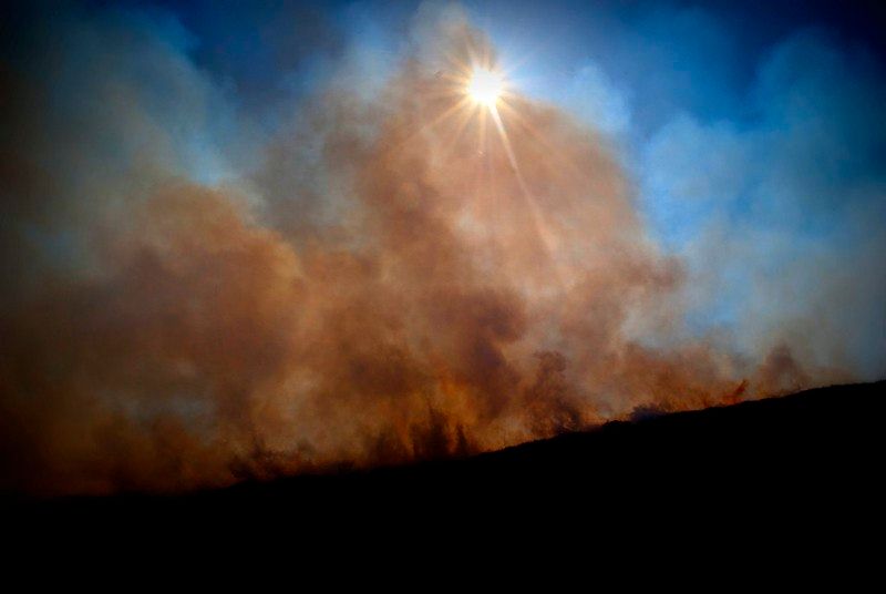 Peat Burning & Dasgupta Review