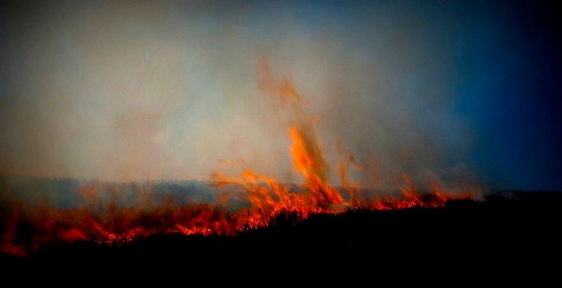 The UK's wildfire problem