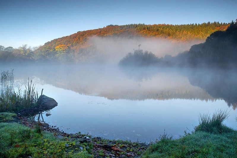 Environmental Principles & Rewilding Statistics