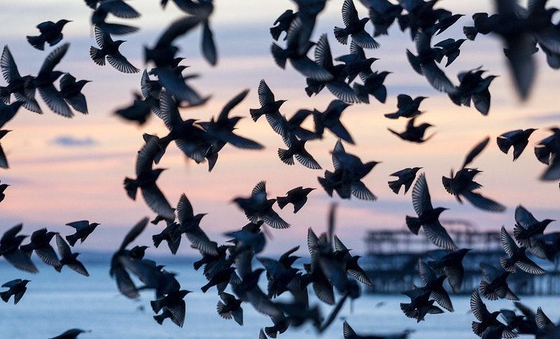 Green New Deal & Shifting Baselines